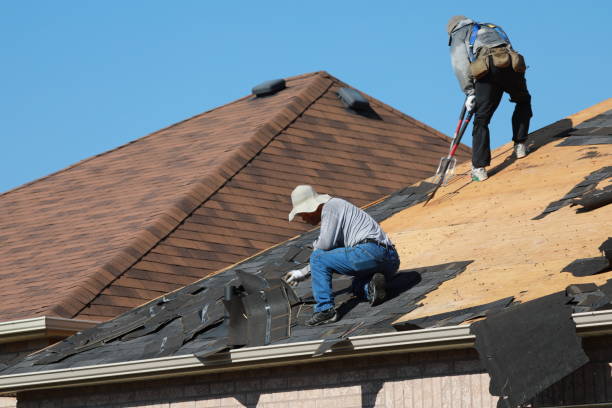 Best Roof Ventilation Installation  in USA